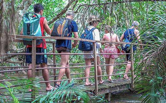Visita guiada por tablados e decks de madeira - Parque das Cachoeiras - Bonito MS