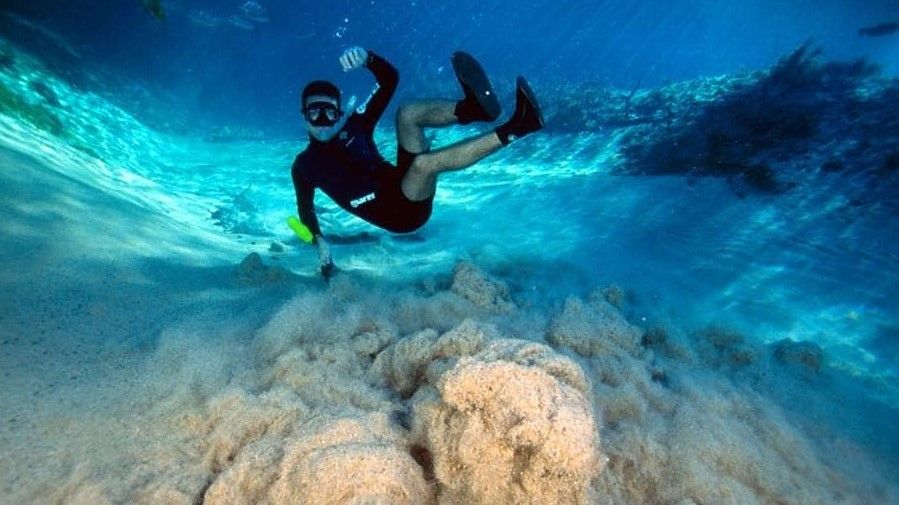 a flutuao, feita no recanto ecolgico rio da prata, tem uma durao de 4 horas