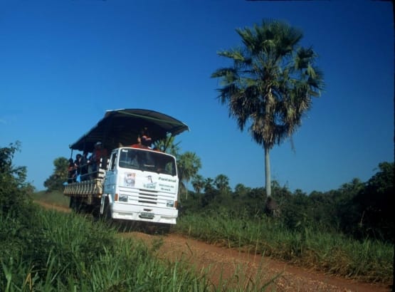 2407_safari_fotografico_carro_belo_do_day_use 2407_safari_fotografico_carro_belo_do_day_use