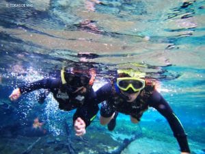 Qual a melhor flutuação de Bonito MS? Qual a melhor flutuação de Bonito MS?