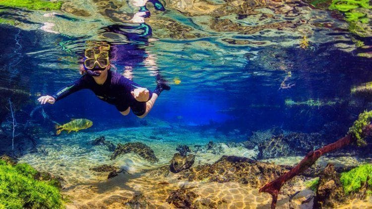 Flutuao Rio Da Prata   Acqua