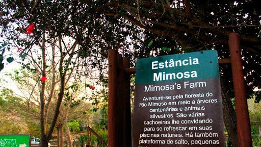 Estncia Mimosa: o que fazer, como chegar e como funciona