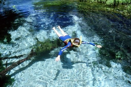 Como funciona o passeio do Rio Sucuri em Bonito?