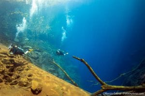 Mergulhar SCUBA em Bonito MS - uma emoção para toda a vida! Mergulhar SCUBA em Bonito MS - uma emoção para toda a vida!