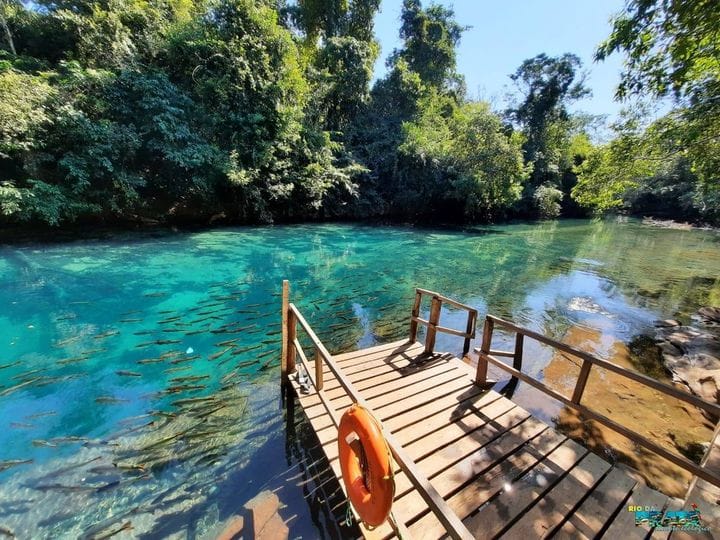 Explorando os passeios de Bonito, a alegria nos caminhos do Rio da Prata!