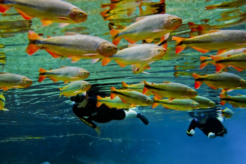 flutuacao rio da prata