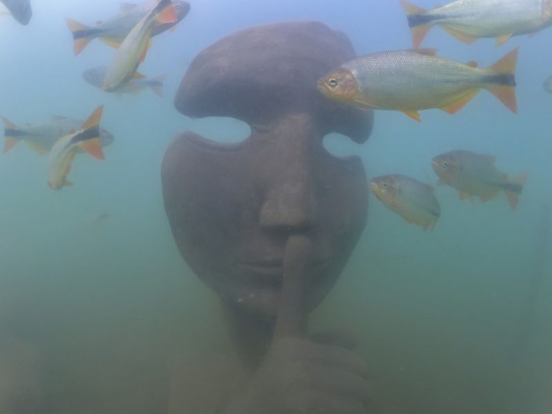 Bonito: Detalhes do primeiro Museu Subaqutico de gua Doce do Mundo