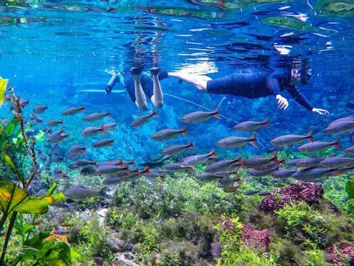 Flutuao Nascente Azul