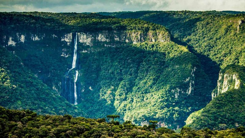 Cachoeira Neblina
