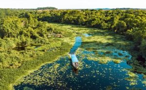 Melhores cidades do Mato Grosso do Sul para conhecer