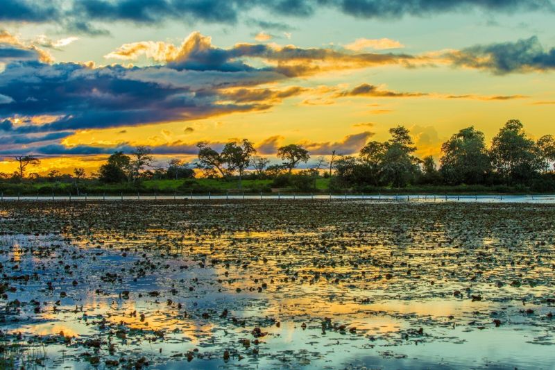 Pantanal pacotes