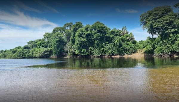 Encontro Rio Salobra