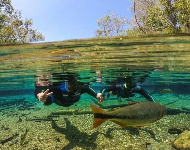 Rio Da Prata   Bonito MS   Acqua