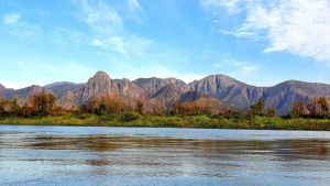 Qual a melhor poca para ir ao Pantanal