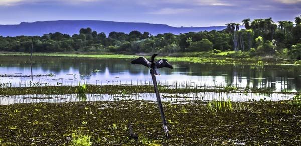 Pantanal Sul: conheça a Aquidauana