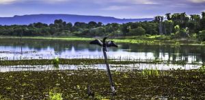 Pantanal Sul: conhea a Aquidauana