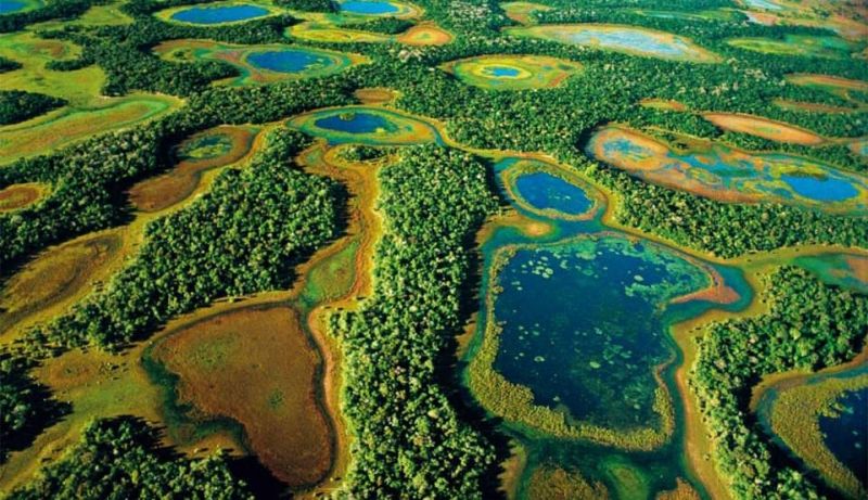 Pantanal Sul Matogrossense