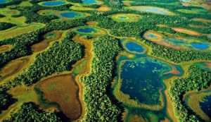 O que fazer no Pantanal do Sul? O que fazer no Pantanal do Sul?
