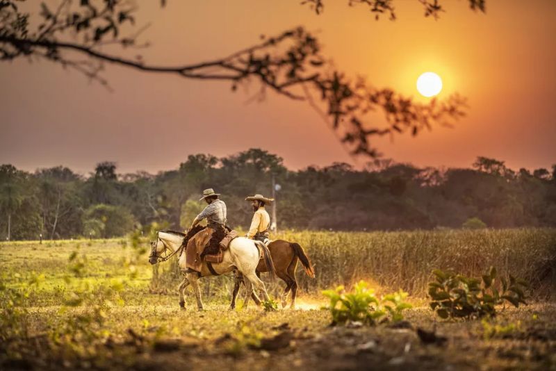 O que fazer no Pantanal do Sul?