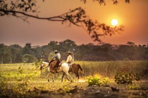 O que fazer no Pantanal do Sul?