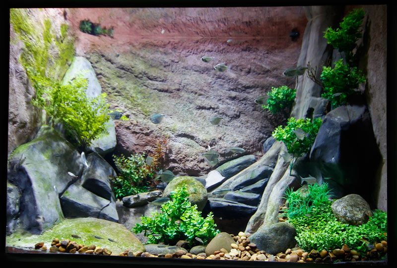 Planicie Inundacao Cheia Edemir Rodrigues