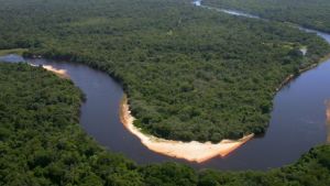 Pantanal do Rio Negro
