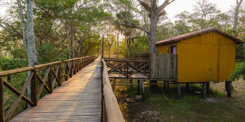 Pantanal Jungle Lodge 8