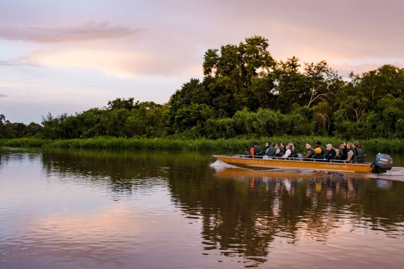 Passeio De Barco Pantanal