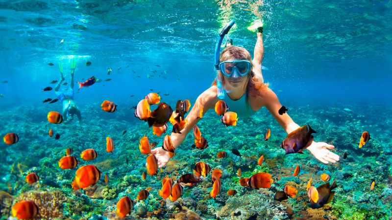 Mergulho Em Fernando De Noronha Min