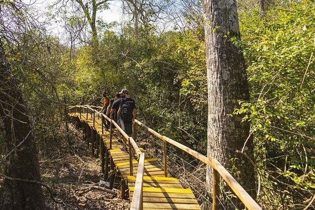 Turista percorrendo as passarelas e trilhas da atrao