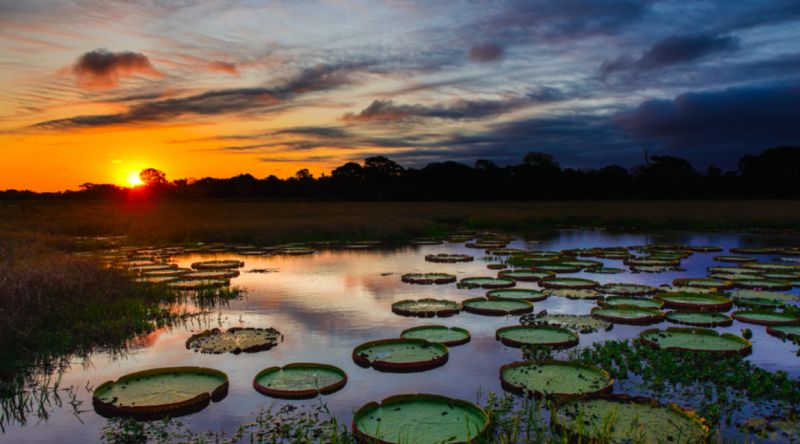 Voc sabe qual a melhor fazenda do Pantanal?