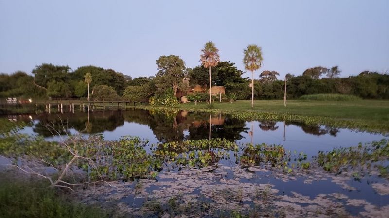 Alagado do Refugio da Ilha Ecolodge,Pantanal de MIranda