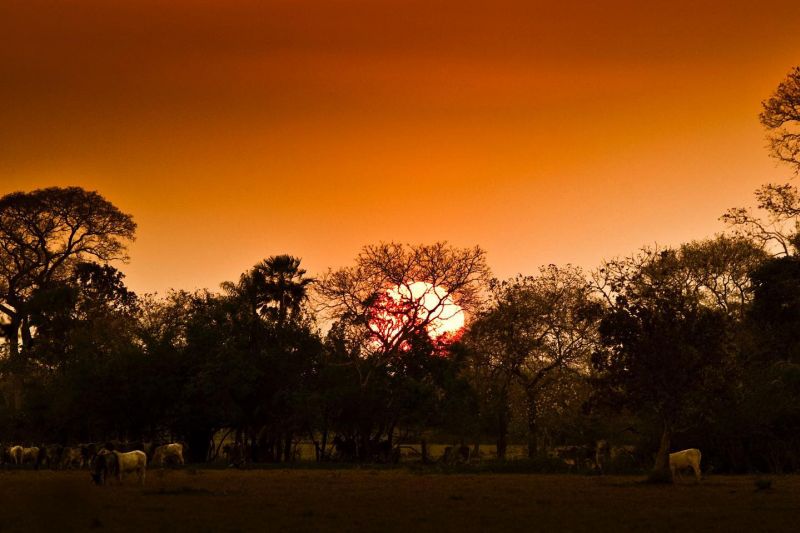 Imagem do pôr do sol no Pantanal visto na Fazenda Caiman