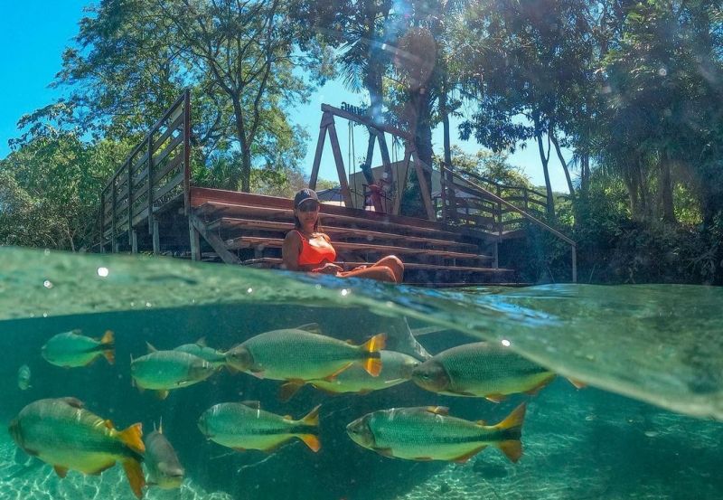 Bonito Ms Acqua Gopro Dome