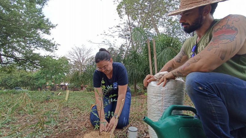 Plantio de Mudas em Bonito