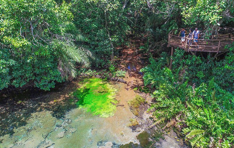 Rio Sucuri Acqua Viagens Bonito Ms 2