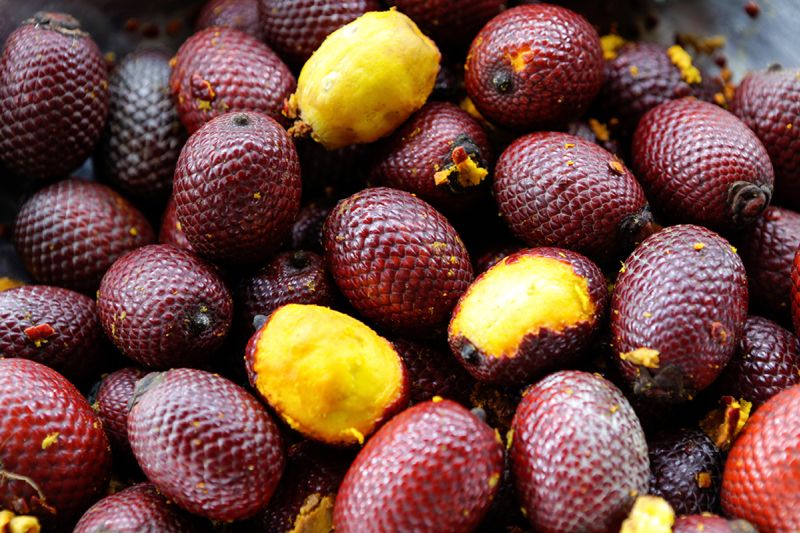Frutas do Cerrado: os sabores exticos de Bonito e regio