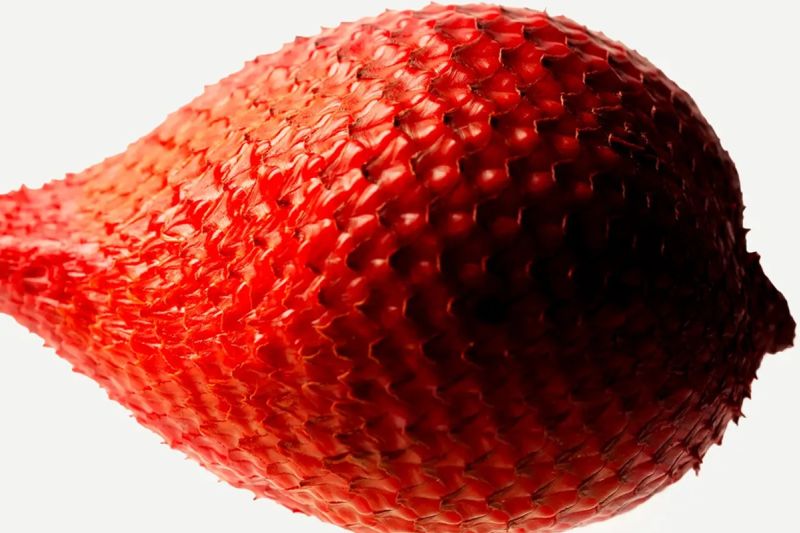 O que é o buriti e onde encontrá-lo em Bonito? O que é o buriti e onde encontrá-lo em Bonito?