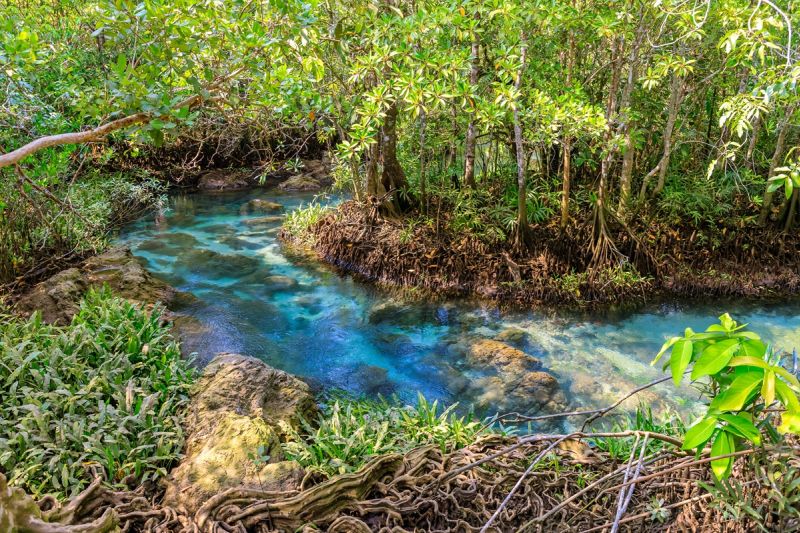Tempo em Bonito Mato Grosso do Sul: diferença entre clima seco e úmido Tempo em Bonito Mato Grosso do Sul: diferença entre clima seco e úmido