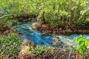 Tempo em Bonito Mato Grosso do Sul: diferena entre clima seco e mido