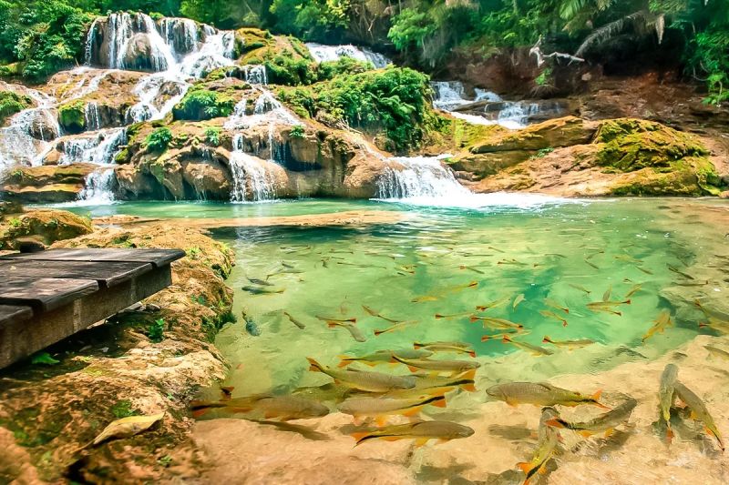 Viagem Bonito Mato Grosso do Sul: por que visitar novamente este destino? Viagem Bonito Mato Grosso do Sul: por que visitar novamente este destino?