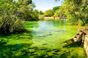Viagem Bonito Mato Grosso do Sul: por que visitar novamente este destino?