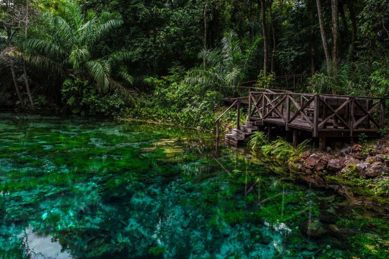 Como fazer uma viagem para Bonito com pouco dinheiro?