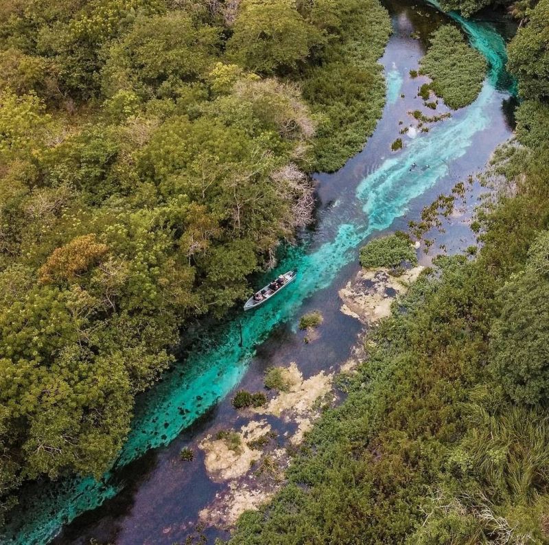 Bonito MS: o que está por trás da capital brasileira do ecoturismo? Bonito MS: o que está por trás da capital brasileira do ecoturismo?