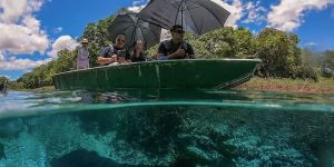 Passeio de escuna no Rio Sucuri: tudo o que você precisa saber Passeio de escuna no Rio Sucuri: tudo o que você precisa saber