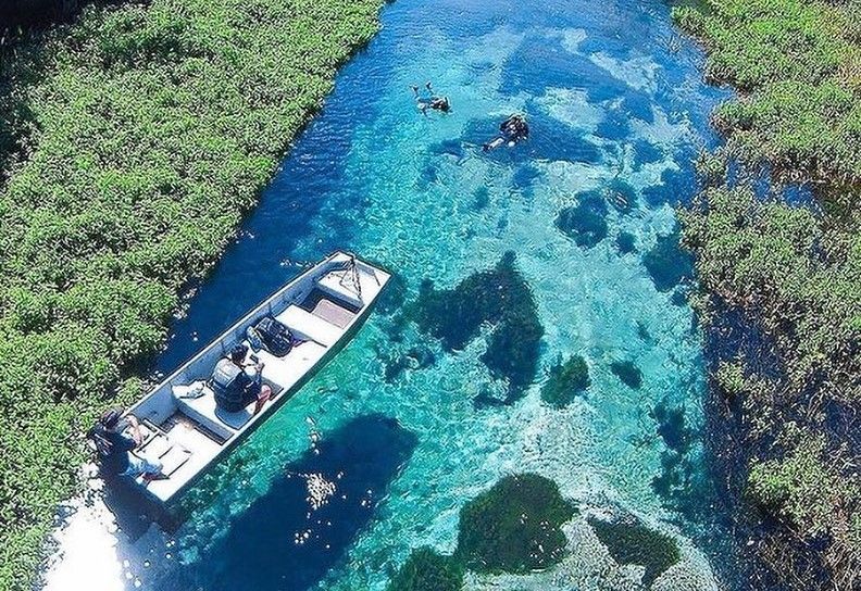 Rio Sucuri - Acqua Viagens - Bonito MS