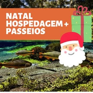Natal 2020 Natal 2020