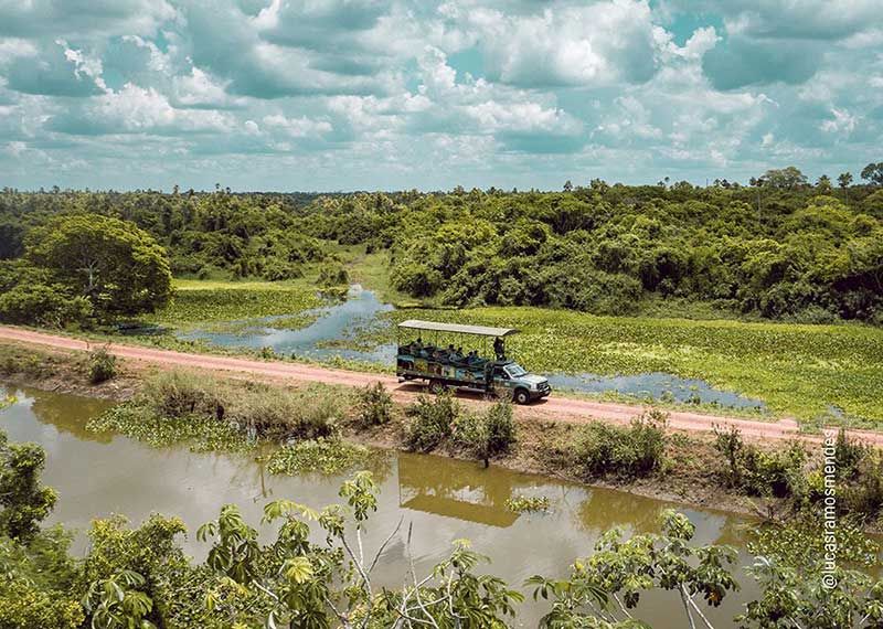 Bonito e Pantanal