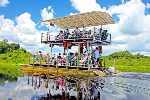 turismo no pantanal - mato grosso do sul: quando ir, o que fazer e dicas essenciais para viajar