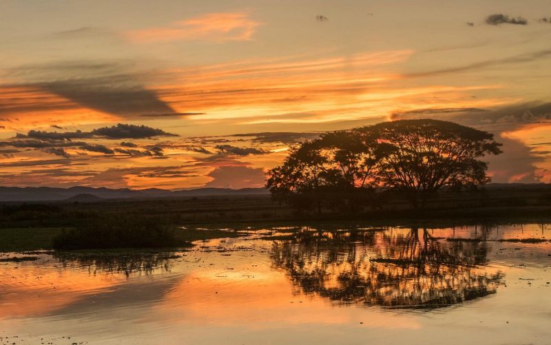 Por do Sol - Pantanal do Mato Grosso do Sul